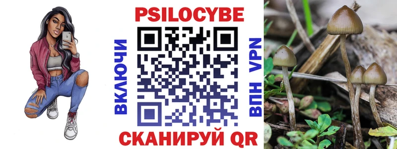 blacksprut ссылка  где продают наркотики  Мышкин  Галлюциногенные грибы GOLDEN TEACHER 